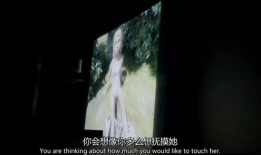 变态视频,人性扭曲与道德沦丧