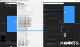 视频怎么p,一窥P生成技术的魅力与奥秘