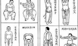八段锦视频下载,轻松入门养生功法