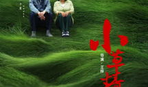 草青青视频,探寻自然之美与生命力的视觉盛宴
