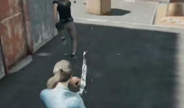 操鸡视频,操鸡视频背后的真相与反思