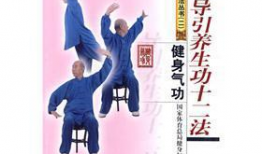 导引养生功十二法视频,视频教程精华概述