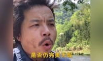 神经哥,神经科学视角下的认知与行为奥秘探索