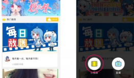 哔哩哔哩的视频怎么下载,制作概述文章的副标题技巧