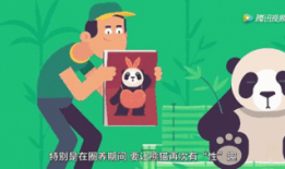 啪啪啪网站视频,激情瞬间，情感纠葛