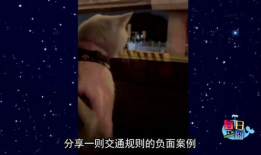 男人和女人睡觉视频,真实情感与生理反应的交织