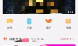 bilibili怎么下载视频,轻松掌握下载步骤