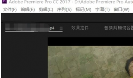 视频怎么p,一窥P生成技术的魅力与奥秘
